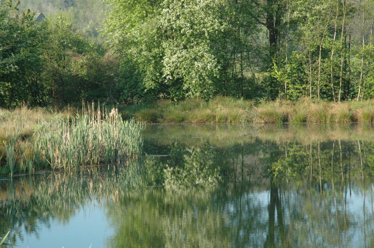 Wodne Ogrody Villa Dobczyce Kültér fotó